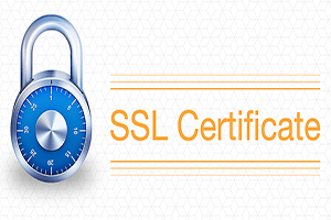 Обложка: SSL сертификат для домена от webnames.ru